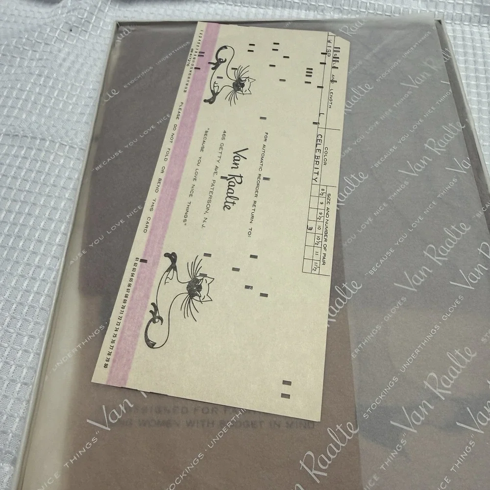 2-Vtg 50s VAN RAALTE Wisp Celebrity 10 L Nylon Hose Stockings Seam New Box